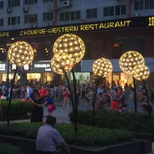 文旅LED户外防水蒲公英灯景观造型小区广场草坪装饰亮化工程灯