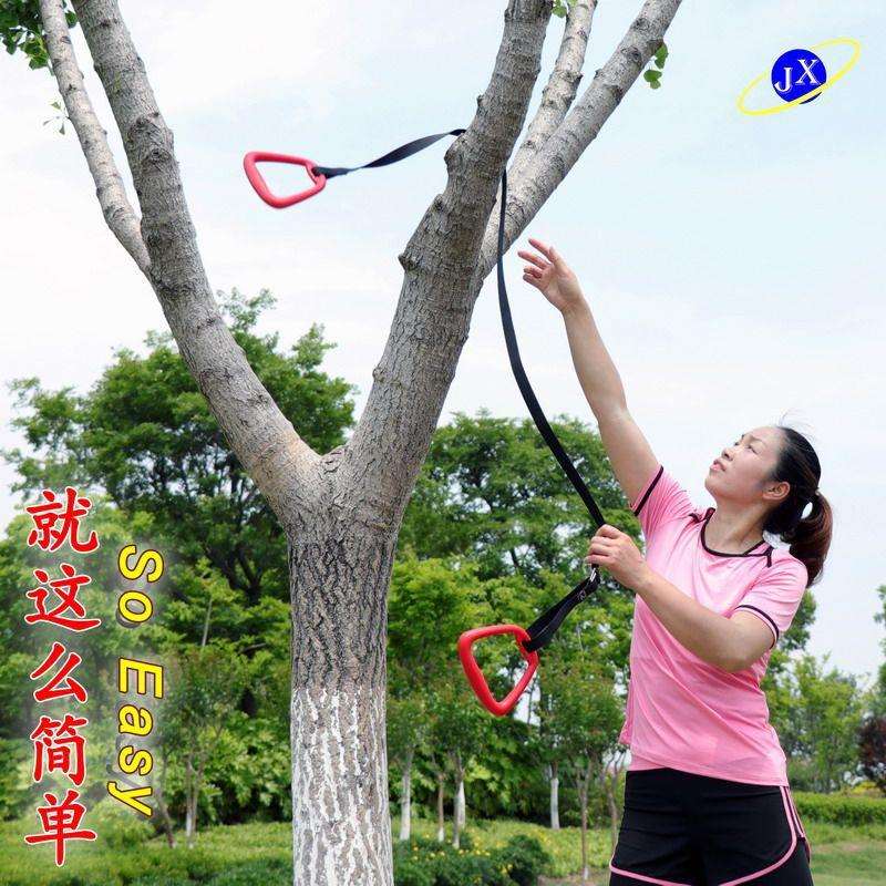 吊环健身家用单杠户外树上便携连体拉手成人儿童牵引训练广场舞蹈
