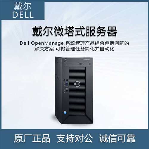 DELL/戴尔T30 4盘位NAS E3-1230 V5办公电脑塔式服务器