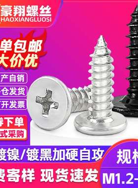 CA镀镍大平头自攻螺丝黑色加硬十字扁平头自攻螺丝钉M1.7/M2.3/M3