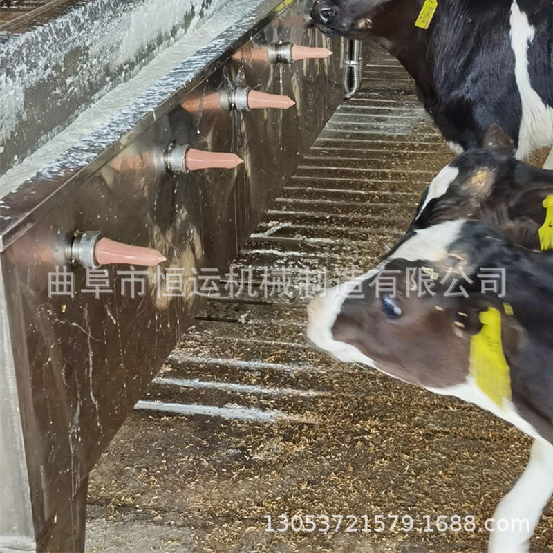 小牛犊饲喂器 带加热搅拌犊牛饲喂机 不锈钢喂奶机