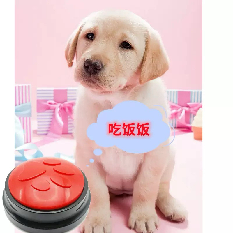 宠物交流按钮狗狗发声盒训练说话玩具录音发声器挤压盒语音
