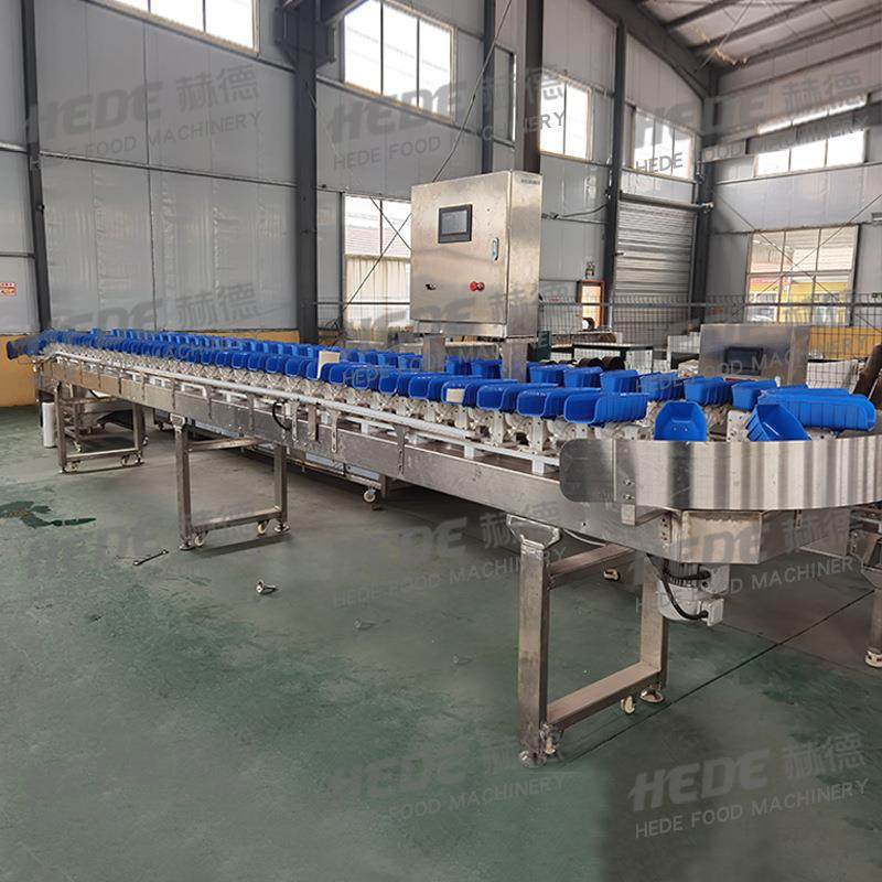 柑橘自动称重分选机 自动称重分选设备 苹果水果分选机,五金/工具,其他包装设备,淘宝优惠券,粉丝福利购,淘宝优惠卷