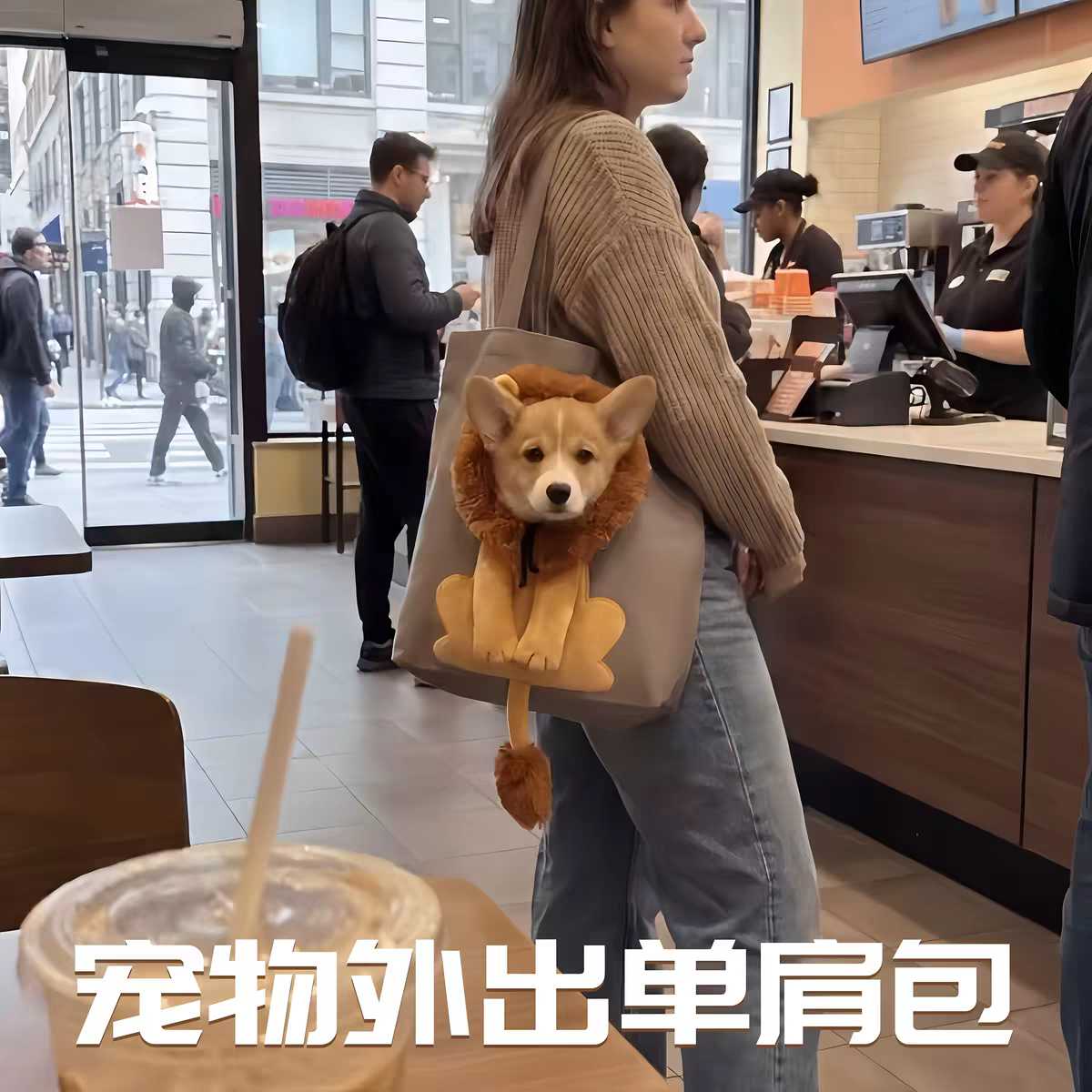 当你带小狗去吃饭…宠物外出