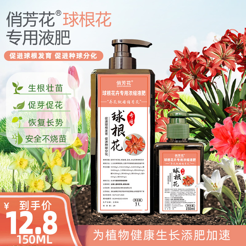 球根花卉专用肥，朱顶红，郁金香，百合花，水仙花、俏芳花液肥