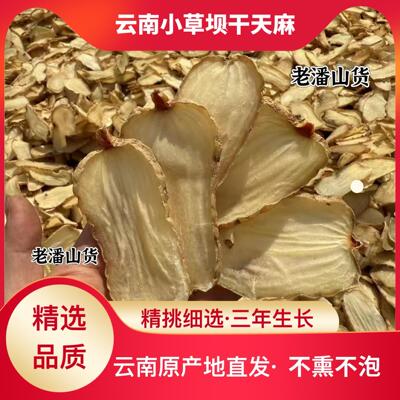 【干天麻可片】云SBU无南小草坝天干麻仿野生长添加农切家自然晾