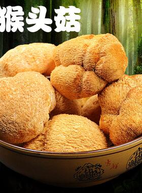 东特产椴木干猴头菇个大毛长长白山北货菌菇蘑菇500g包邮PYT免费