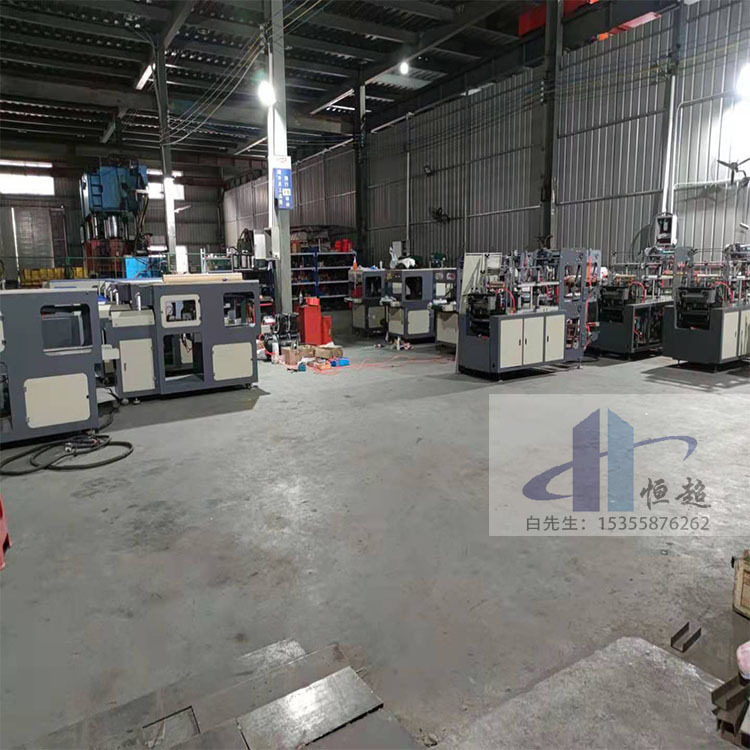 恒超厂家双层手套机 全自动一次性塑料手套机 自动撕PE手套机