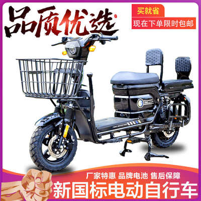 载重王电动车代步自行车拉货外卖送餐两轮长跑王可上牌锂电电瓶车