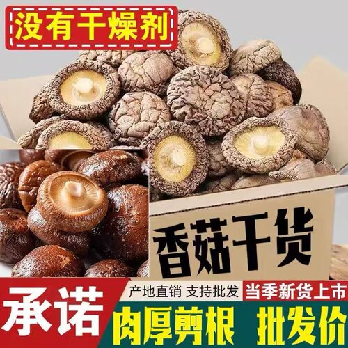 小香菇500g干货商用散装野生小蘑菇菌菇冬菇厚肉整件香蕈肉厚