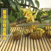 浙江乐清雁荡山特级正品 三铁皮石斛斗石0解石LZJ魁年石斜枫25克