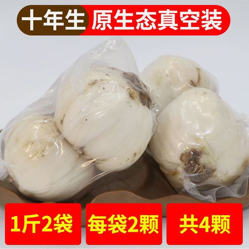 特级兰州鲜甘肃特产兰州食用甜百合兰州百合新鲜百合真空大果礼盒