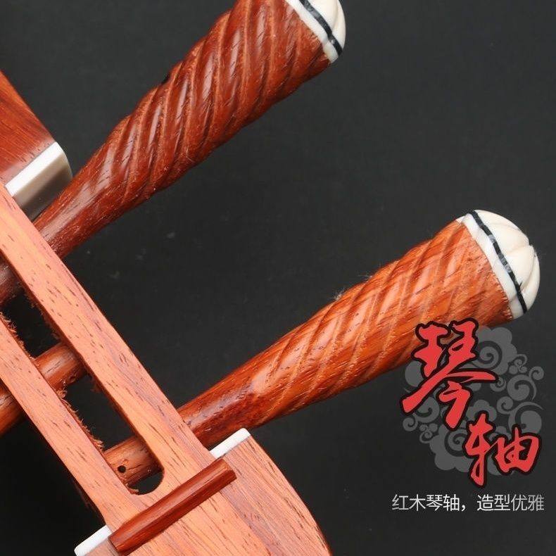 花梨木大中小三弦款三弦乐器厂家直销三玄乐器初学者演奏专业考级