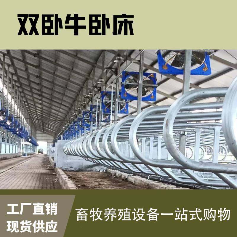 cattle free stall奶牛场设备加厚热镀锌对头双卧牛卧床牛卧栏