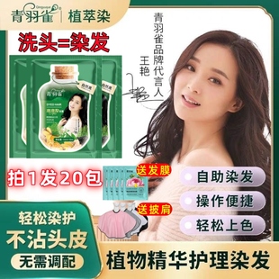 官方旗舰店泡泡染 青羽雀天然植萃染发膏女纯植物正品 拍1发20