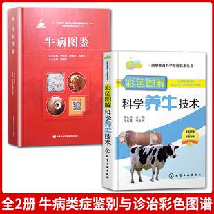 全2册 京联 牛病图鉴中国兽医诊疗图鉴丛书诊断与防治养牛畜牧养殖业科普读物诊疗图谱兽医手册养牛书籍