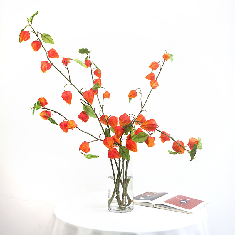 na家花房仿真酸浆果灯笼花秋色红色果垂吊假花植物瓶花套装装饰品