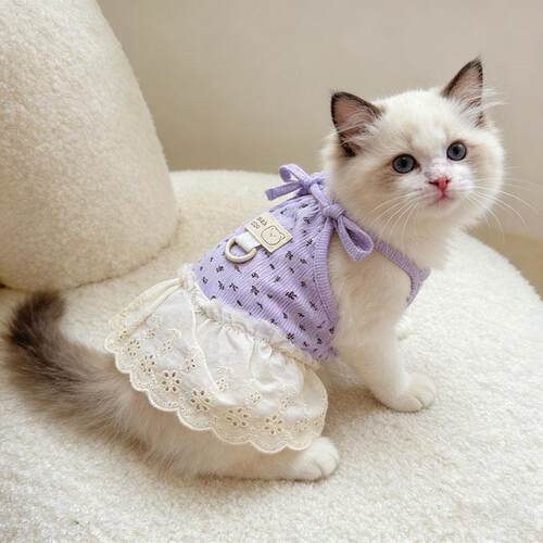 猫咪衣服春夏薄款碎花吊