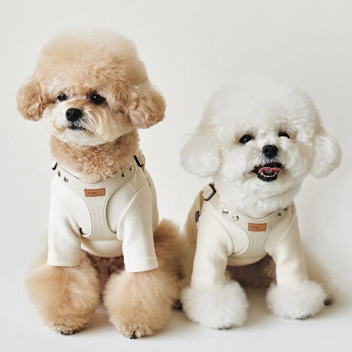 INS皮质韩国小型犬pu宠物