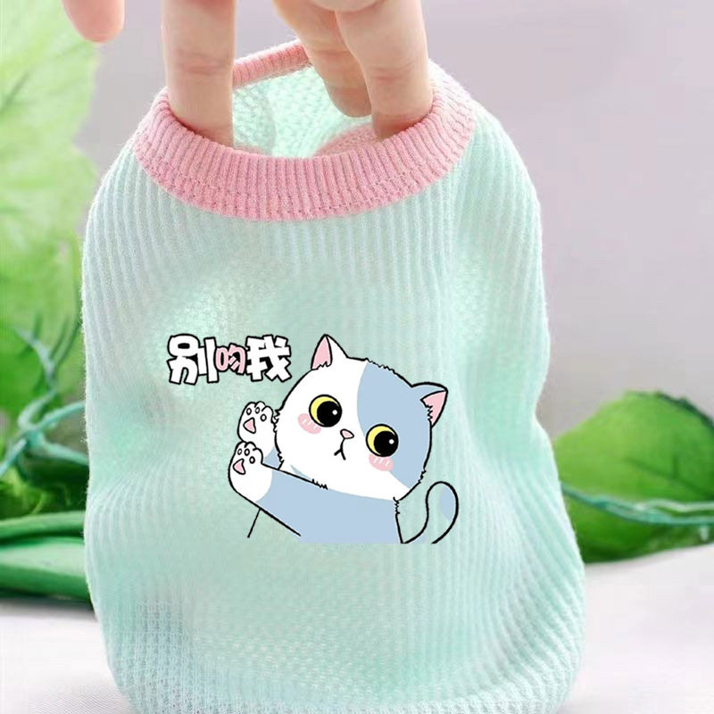 宠物狗狗衣服春夏泰迪博