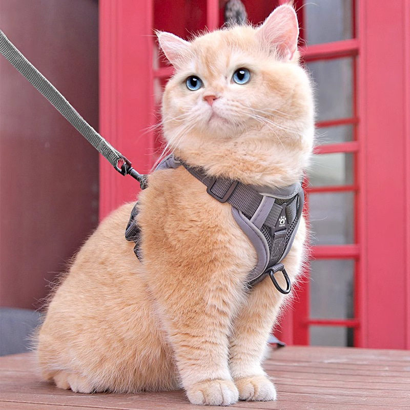 猫咪牵引绳背心式反光宠