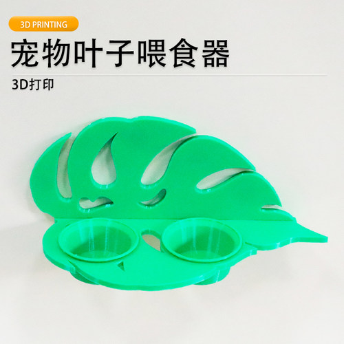睫角守宫树蛙龟背叶可拆卸食水盆