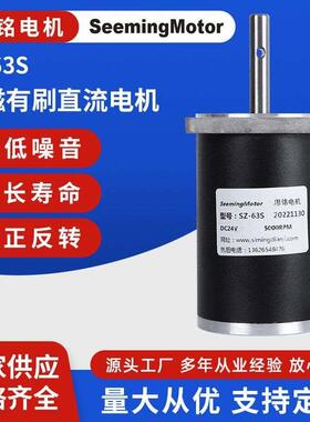 供应 SZ-63S永磁有刷直流电机 机械设备电机自动门汽车直流电机