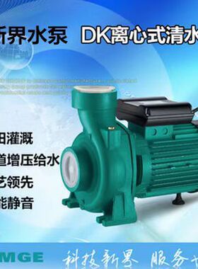 新界ZDK/DK离心式微型清水泵