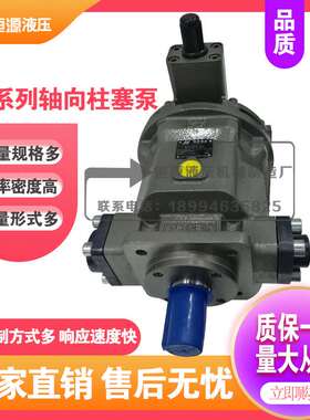 HY10M-RP 16M 25M 32Y 63Y 80Y 125Y 169Y 180Y 250Y -RP柱塞泵