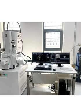 日本电子热场发射扫描电子显微镜JSM-IT800台式扫描电镜化学分析