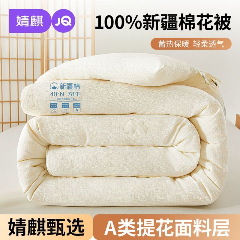 2025秋冬新款新疆纯棉A类春秋被子被芯全棉双人冬被高性价比保暖