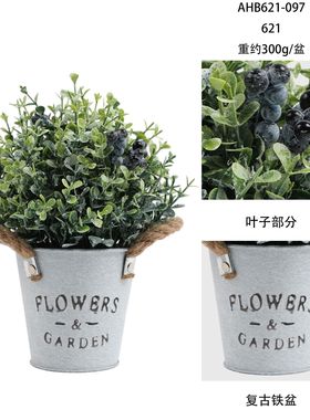 2025年新款仿真尤加利绿植北欧风情装饰无叶盆栽室内家居清新摆件