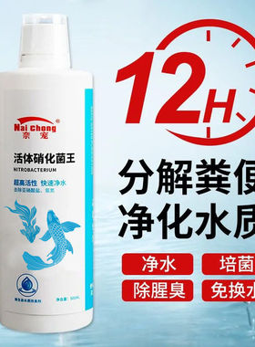 硝化细菌鱼缸专用净水剂浑浊发黄硝化细菌净化澄清水质活菌稳定剂