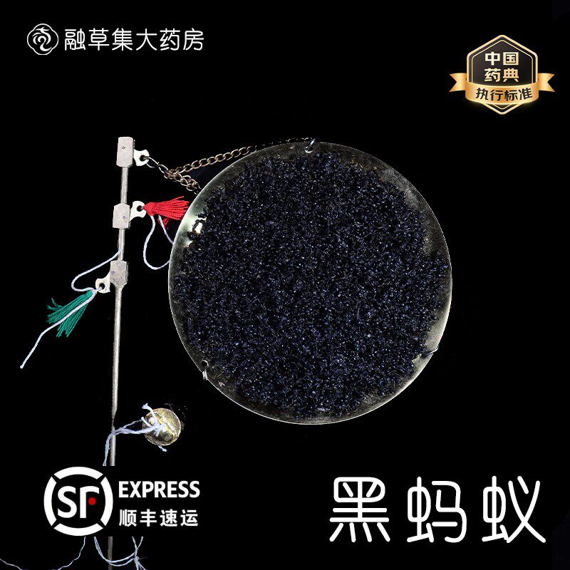 黑蚂蚁中药干长白山蚁拟黑多刺蚁养生泡酒料大蚁酸非野生黑蚂蚁粉