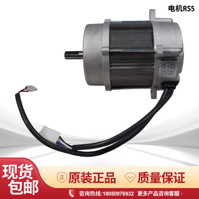 利雅路燃烧机电机BS2 BS3 BS4 BS5D RS5 RS5D风机马达250W/220V