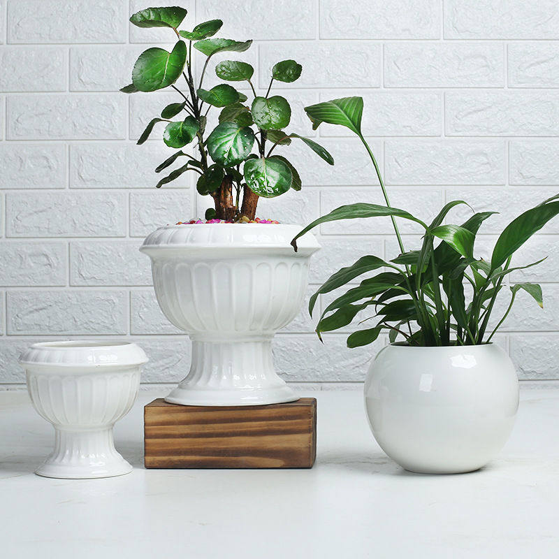 简约户外园艺创意多肉花盆白色欧式家庭阳台水培绿植陶瓷花盆花器,鲜花速递/花卉仿真/绿植园艺,花托/移动托盘,淘宝优惠券,粉丝福利购,淘宝优惠卷