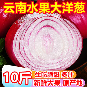 云南水果大洋葱10斤新鲜蔬菜小当季紫皮圆葱葱头元葱甜味生吃批发