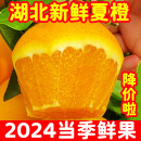 水果整箱批发果冻橙甜橙大果鲜橙 2024湖北新鲜橙子夏橙10斤当季