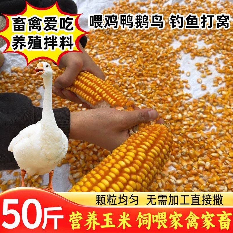 26年新粮鸽子食粮养鸡50斤大袋