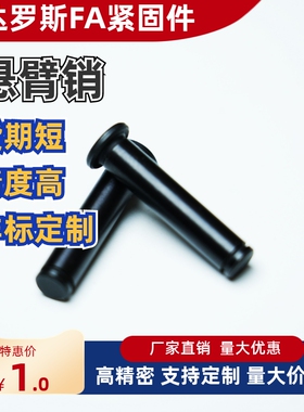 带肩铰链销 MIT01 MIT02 MIT03 MIT04 MIT05 MIT11 MIT16