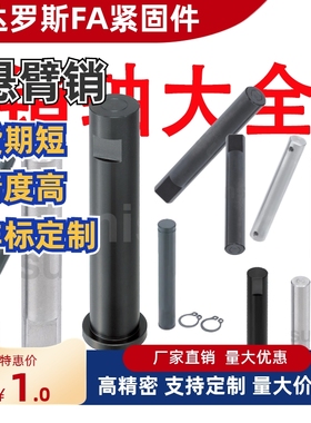 带肩铰链销内六角型 MIK01 MIK02 MIK11 MIK21 MIJ11 MIJ21 MIJ22