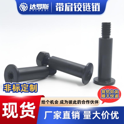 内六角带肩铰链销MIJ01C