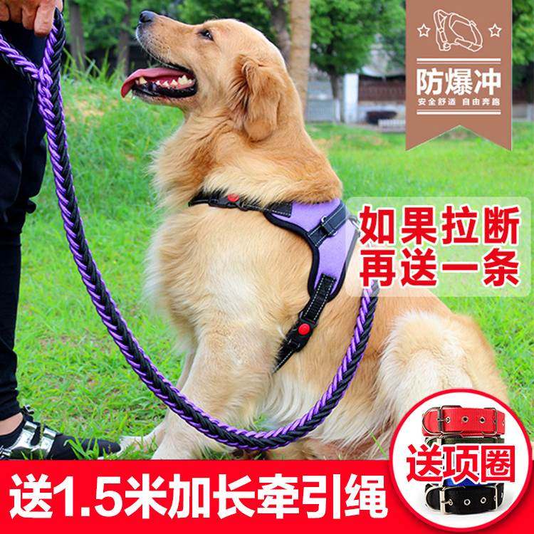 马犬藏獒脖圈土狗金毛犬狗套防勒耐咬牵引绳套头项圈绳子脖子萨摩