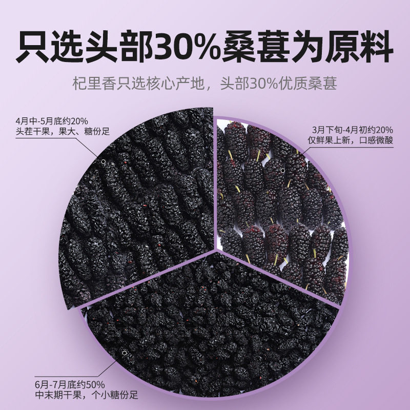 四川攀枝花桑葚杞里香300g圆罐桑椹干手选头茬桑葚干大果桑葚干