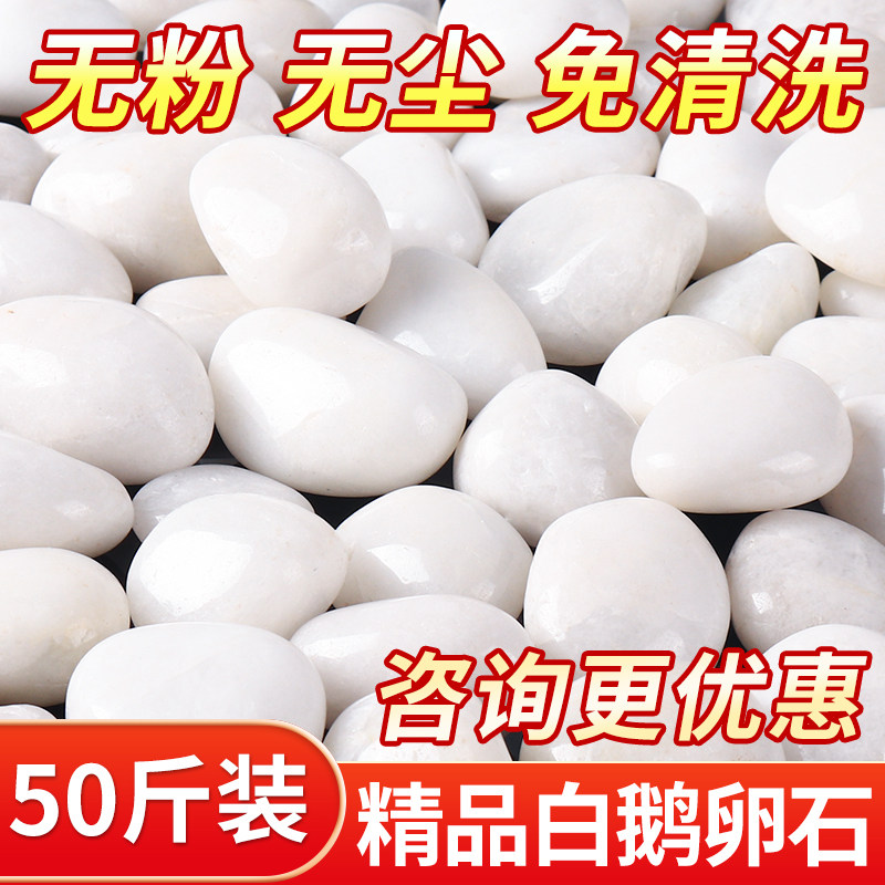 白色鹅卵石铺地抛光雨花石原石天然白石子水培石头造景鹅暖石