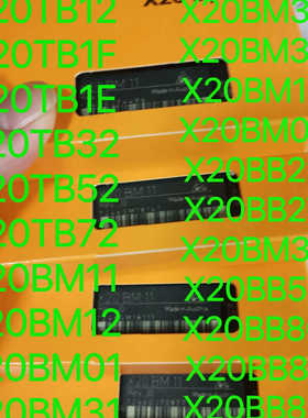 X20BM33 X20BM37 X20BB22 X20BB27 X20BB80  贝加莱