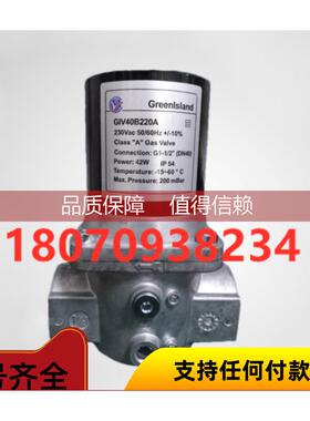 询价Greenlsland电磁阀GIV25B220A GIV40B220A GIV50B220A