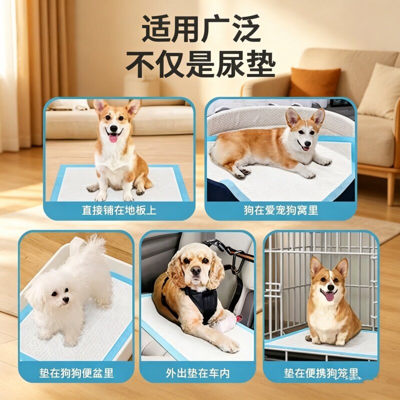 狗尿片加厚除臭防漏宠物尿垫吸水垫猫用幼犬引导锁水大码免洗款