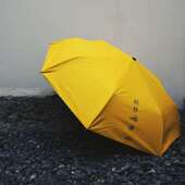 晴耕雨读 闲趣别院 小黄伞防晒遮阳全自动太阳雨伞配收纳晴雨两用