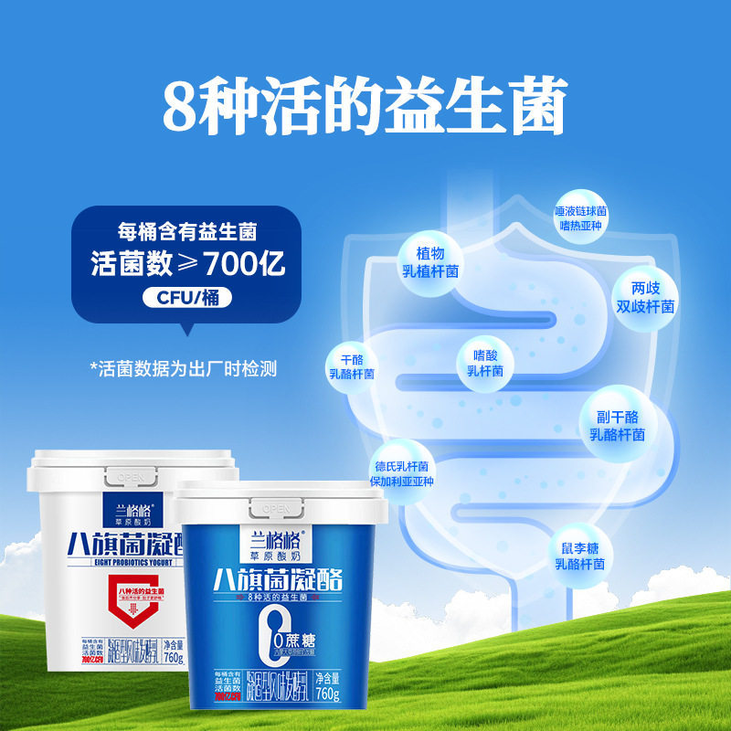 兰格格草原酸奶八旗菌0蔗糖/原味凝酪760g*2组合低温酸奶整箱